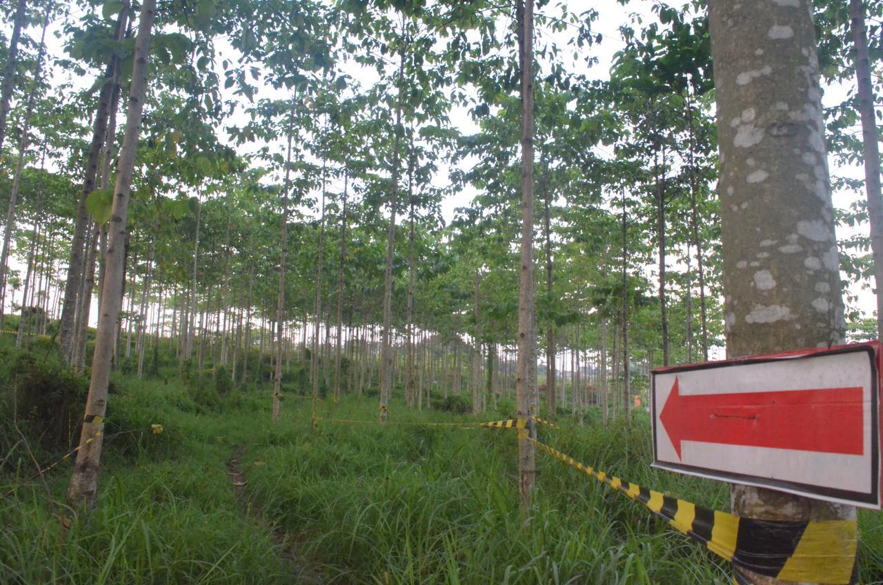 Ibis Budget Cikarang Festival Бекаси Экстерьер фото